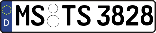 MS-TS3828
