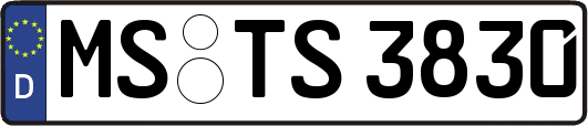 MS-TS3830
