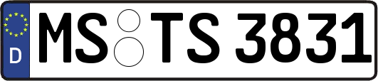 MS-TS3831