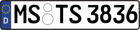 MS-TS3836