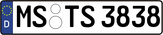 MS-TS3838