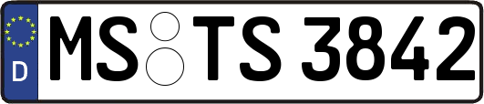 MS-TS3842