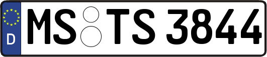 MS-TS3844