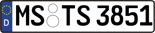 MS-TS3851