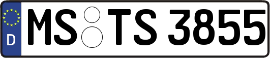 MS-TS3855