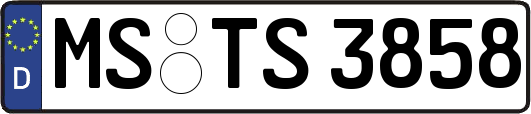 MS-TS3858