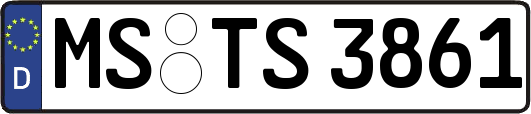 MS-TS3861