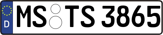 MS-TS3865
