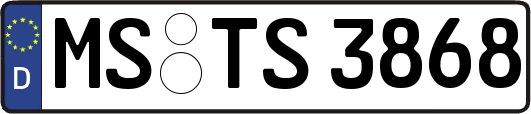 MS-TS3868