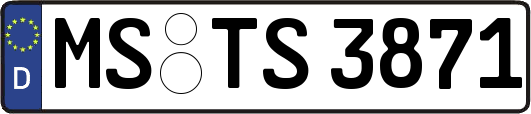 MS-TS3871