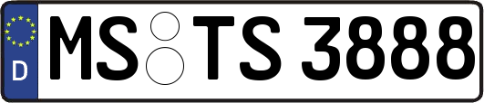 MS-TS3888