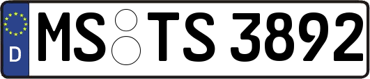 MS-TS3892