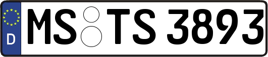 MS-TS3893