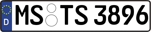 MS-TS3896