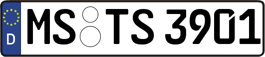 MS-TS3901