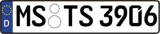 MS-TS3906