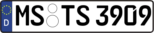 MS-TS3909