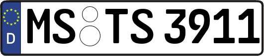 MS-TS3911