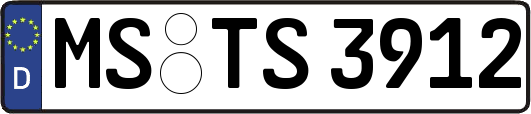 MS-TS3912