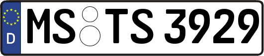MS-TS3929