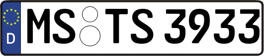 MS-TS3933