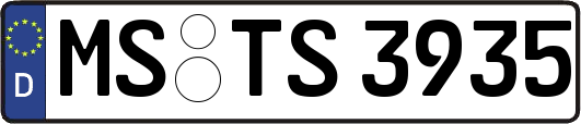 MS-TS3935