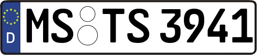 MS-TS3941
