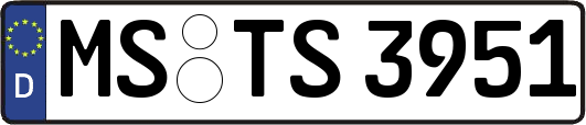 MS-TS3951