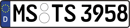 MS-TS3958