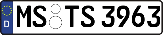 MS-TS3963