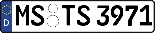 MS-TS3971