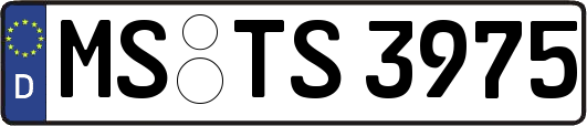 MS-TS3975