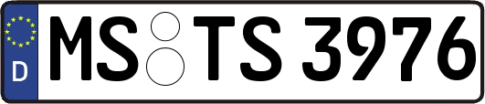 MS-TS3976