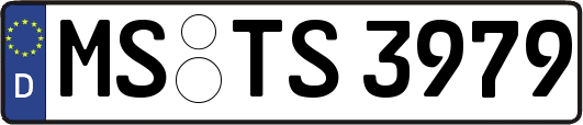 MS-TS3979