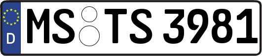 MS-TS3981