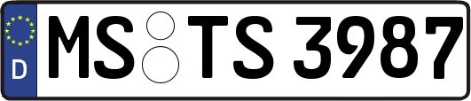 MS-TS3987