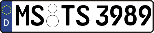 MS-TS3989