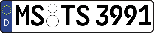 MS-TS3991