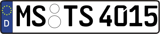 MS-TS4015
