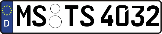 MS-TS4032