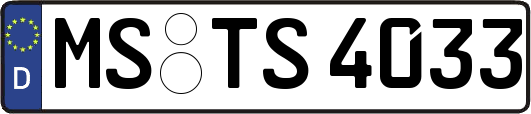 MS-TS4033