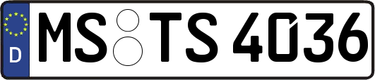 MS-TS4036