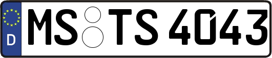 MS-TS4043