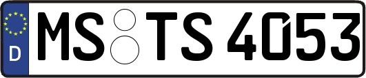 MS-TS4053