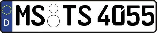 MS-TS4055