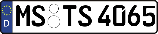 MS-TS4065