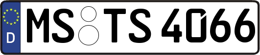 MS-TS4066