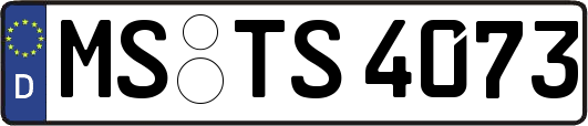 MS-TS4073