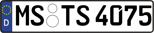 MS-TS4075