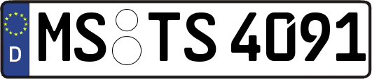 MS-TS4091